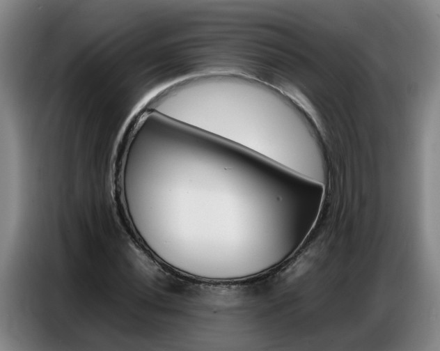 X0000087321020200704200735
