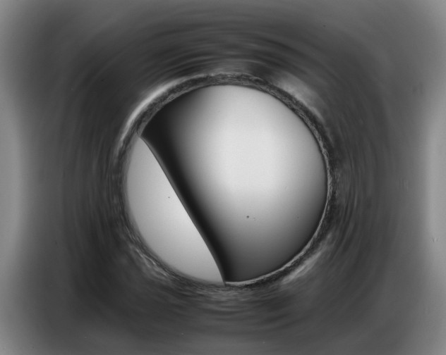 X0000087321021200704200735