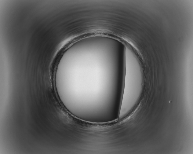 X0000087321022200704200735