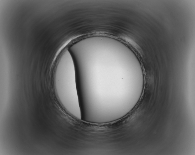X0000087321023200704200735