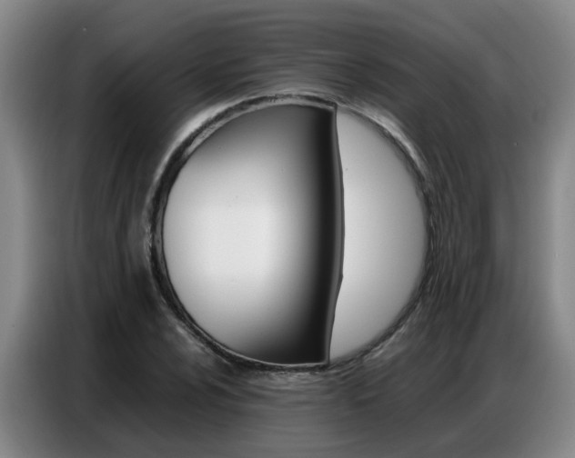 X0000087321024200704200735
