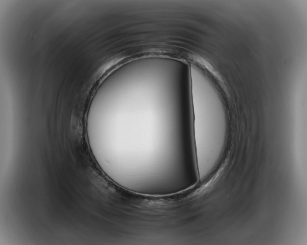 X0000087321025200704200735