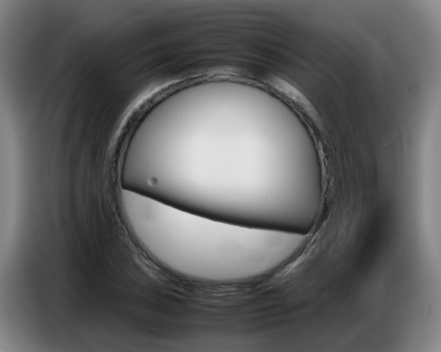 X0000087321027200704200735