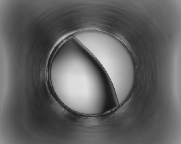 X0000087321028200704200735