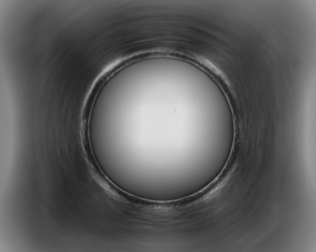 X0000087321029200704200735