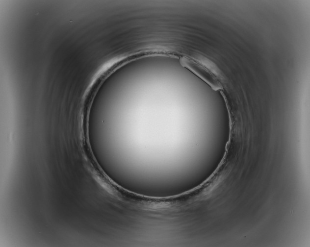 X0000087321030200704200735