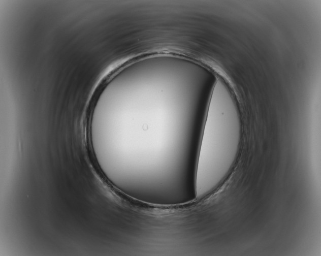 X0000087321032200704200735