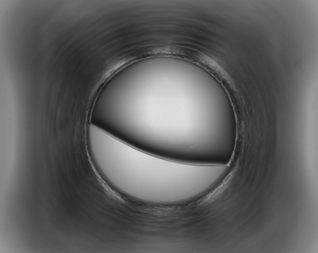 X0000087321033200704200735
