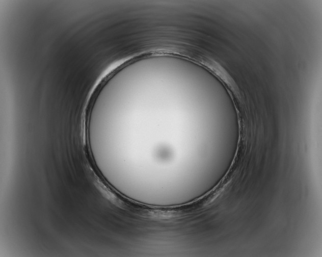 X0000087321036200704200735