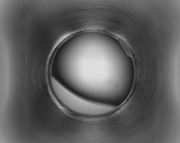 X0000087321038200704200735