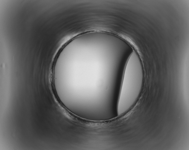 X0000087321040200704200735