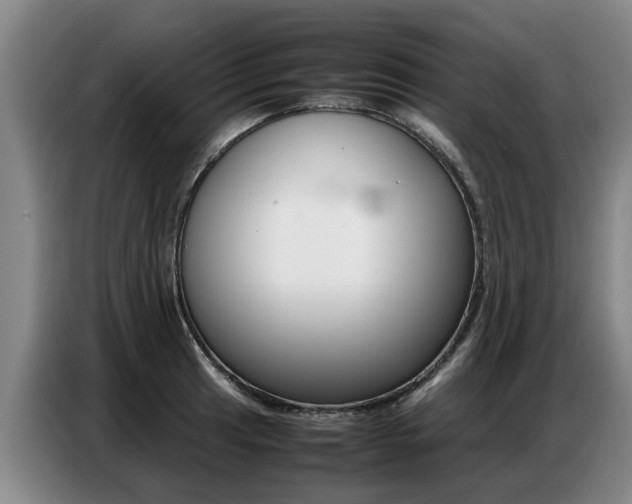 X0000087321041200704200735
