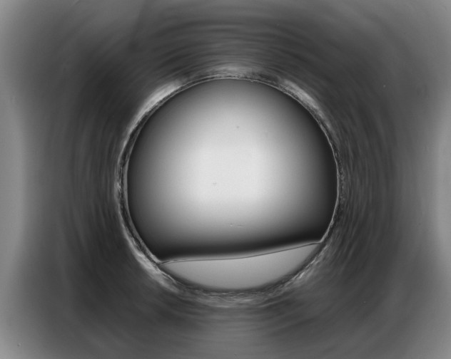 X0000087321042200704200735