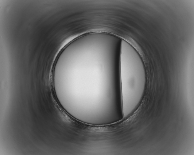 X0000087321044200704200735