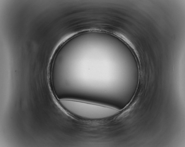 X0000087321045200704200735