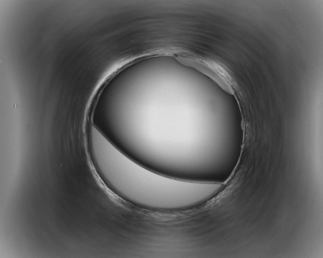X0000087321046200704200735
