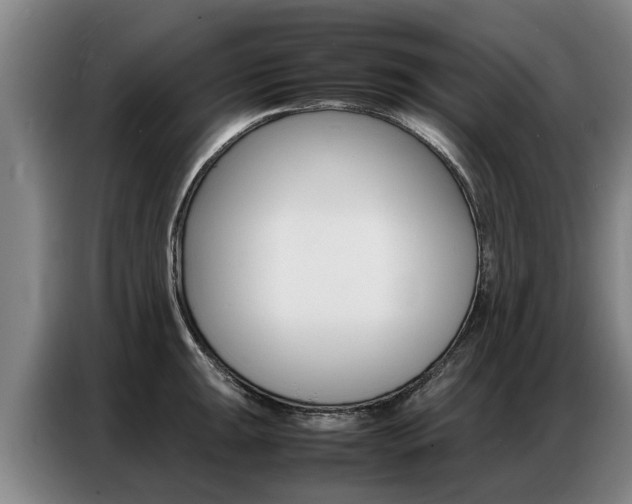 X0000087321047200704200735