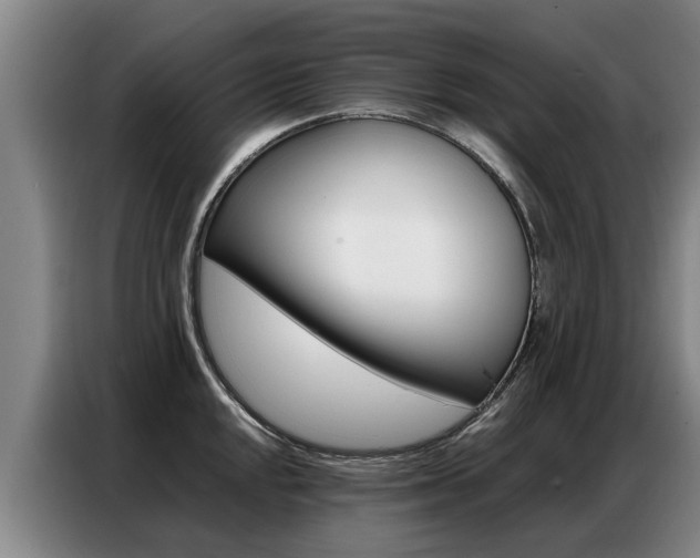 X0000087321048200704200735