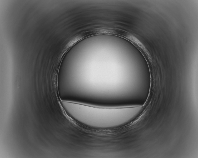 X0000087321049200704200735