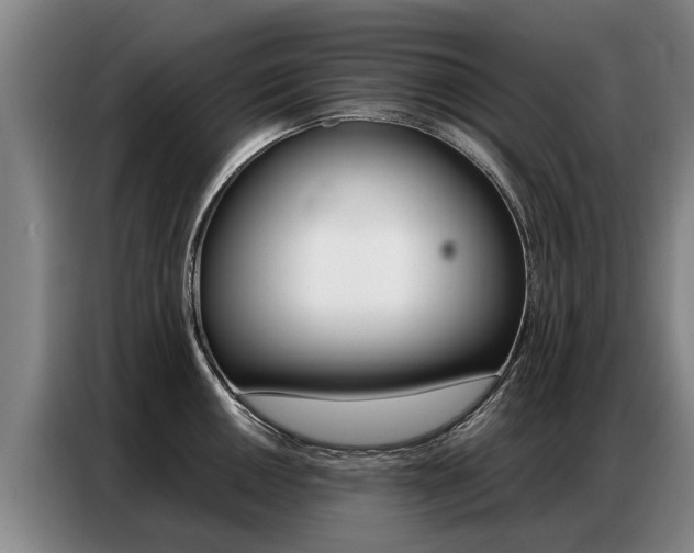 X0000087321050200704200735