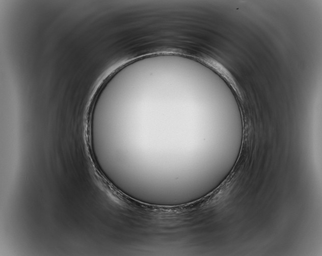 X0000087321051200704200735