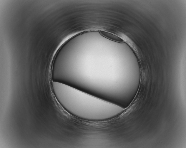 X0000087321052200704200735