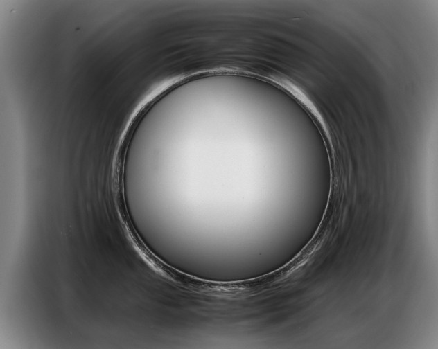 X0000087321053200704200735