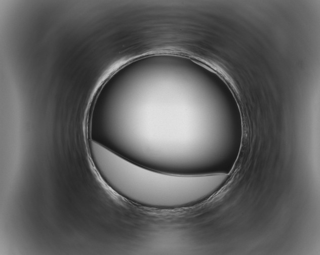 X0000087321054200704200735