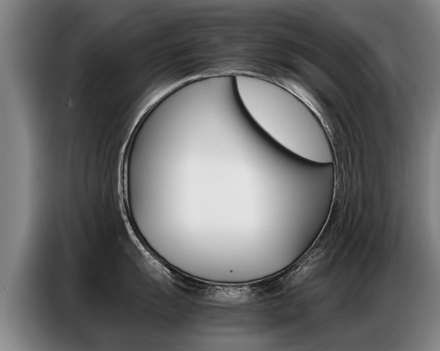 X0000087321055200704200735