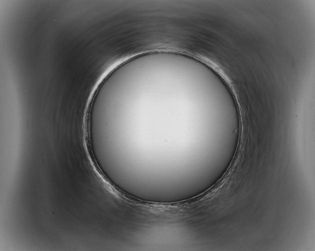 X0000087321056200704200735