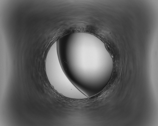 X0000087321057200704200734