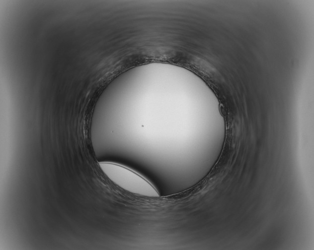 X0000087321058200704200734