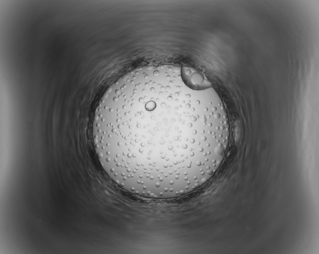 X0000087321059200704200734