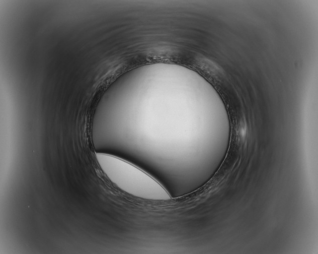 X0000087321060200704200734