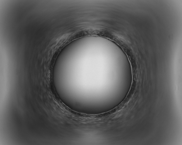 X0000087321061200704200734