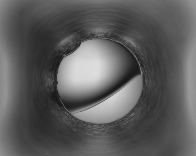 X0000087321062200704200734