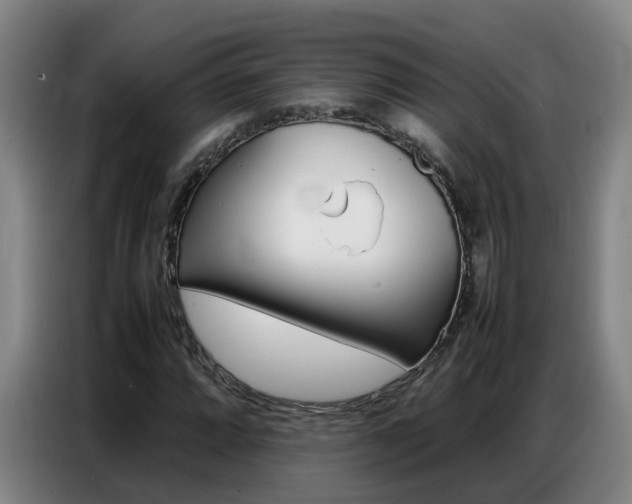 X0000087321064200704200734