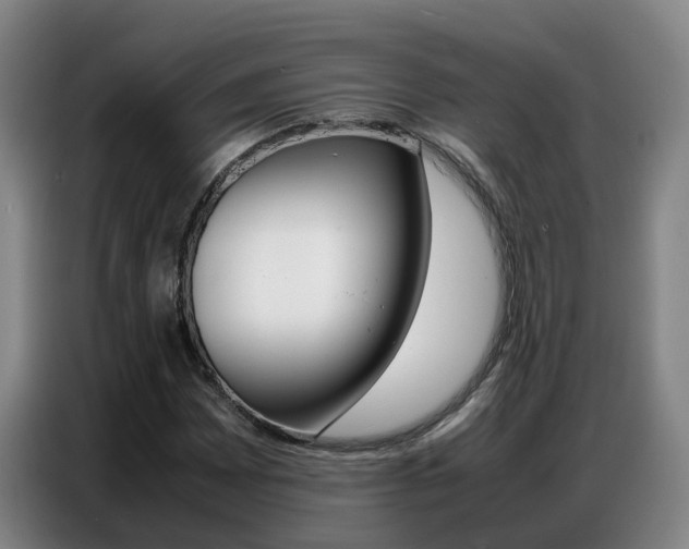X0000087321065200704200734