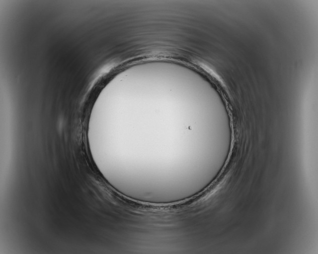 X0000087321067200704200734