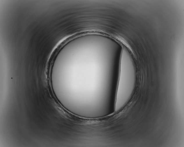 X0000087321068200704200734