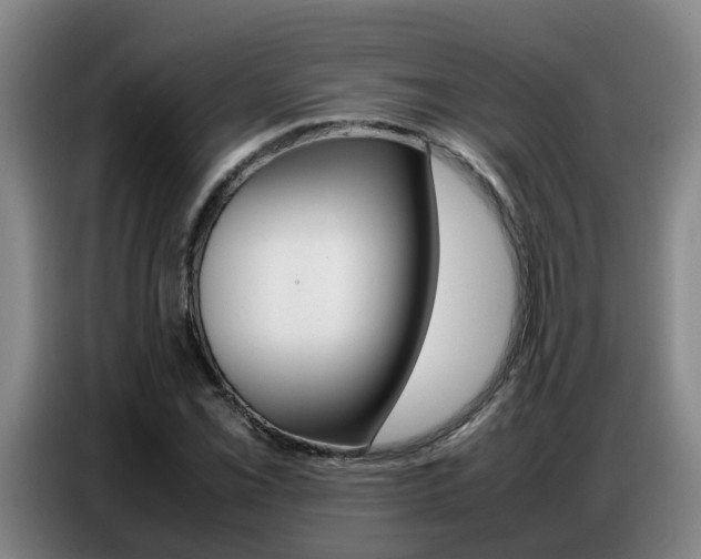 X0000087321069200704200734