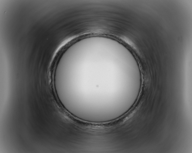 X0000087321070200704200734