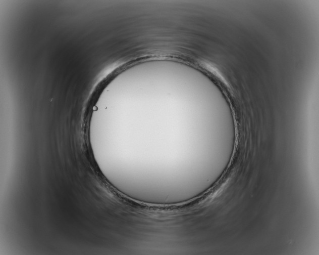 X0000087321071200704200734