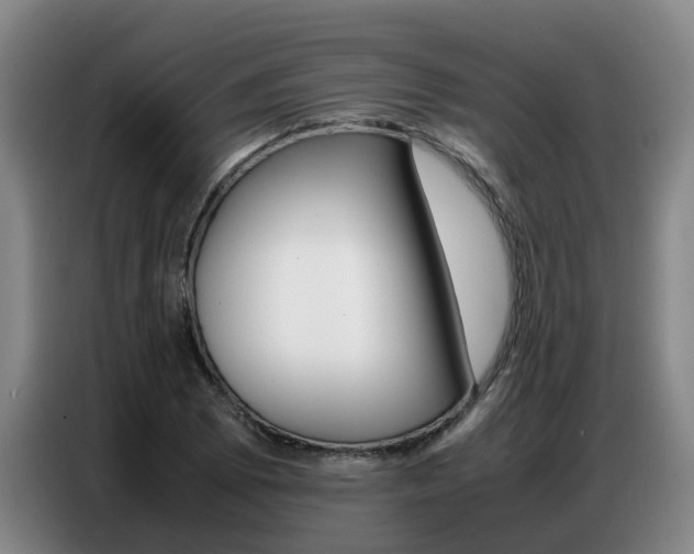 X0000087321073200704200734