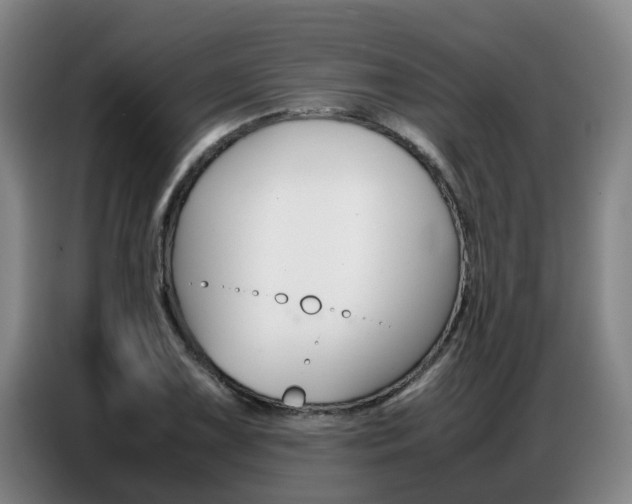 X0000087321075200704200734