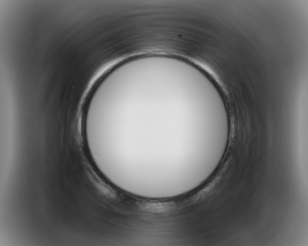 X0000087321078200704200734