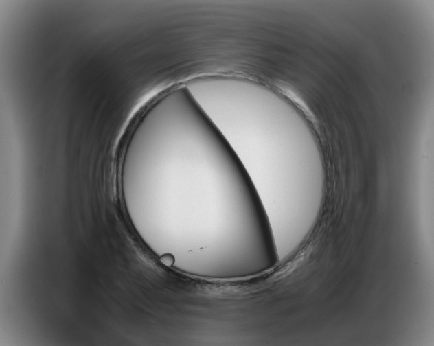 X0000087321079200704200734