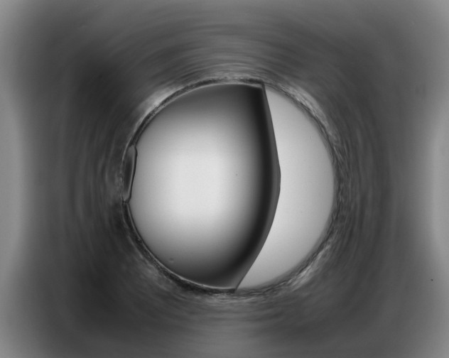 X0000087321081200704200734