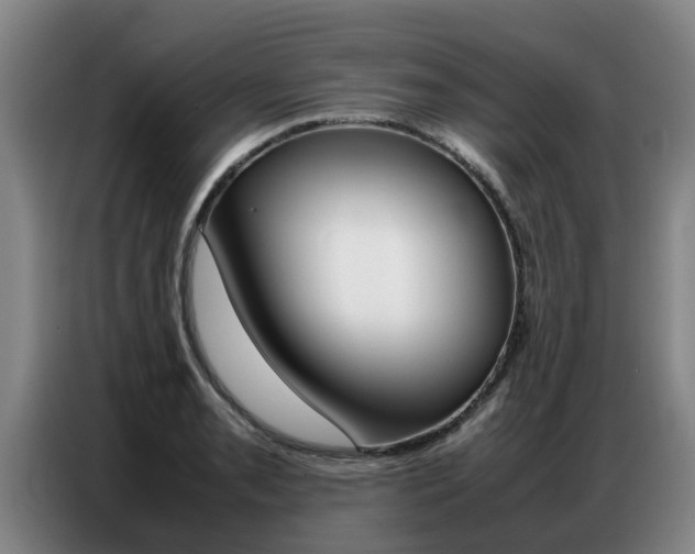 X0000087321085200704200734