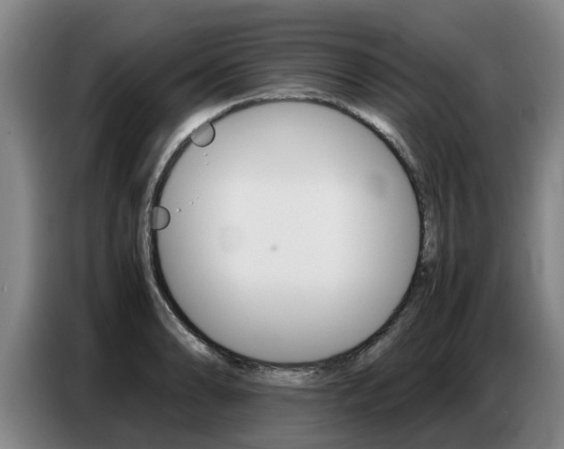 X0000087321086200704200734